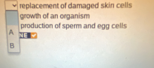 replacement of damaged skin cells 
growth of an organism 
production of sperm and egg cells 
A E 
B