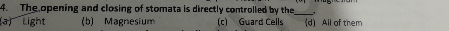 The opening and closing of stomata is directly controlled by the_ 。
(a) Light (b) Magnesium (c) Guard Cells (d) All of them