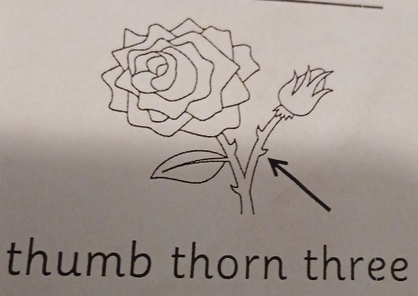 thumb thorn three