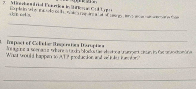 Applcation 
7. Mitochondrial Function in Different Cell Types 
Explain why muscle cells, which require a lot of energy, have more mitochondria than 
skin cells. 
_ 
_ 
3. Impact of Cellular Respiration Disruption 
Imagine a scenario where a toxin blocks the electron transport chain in the mitochondria. 
What would happen to ATP production and cellular function? 
_ 
_