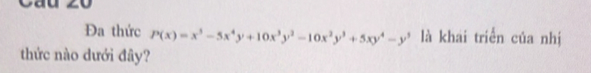 Đa thức P(x)=x^5-5x^4y+10x^3y^2-10x^2y^3+5xy^4-y^5 là khai triển của nhị 
thức nào dưới đây?