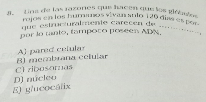 Una de las razones que hacen que los glóbulos
rojos en los humanos vivan solo 120 días es por-
que estructuralmente carecen de ._
por lo tanto, tampoco poseen ADN.
A) pared celular
B) membrana celular
C) ribosomas
D) núcleo
E) glucocálix