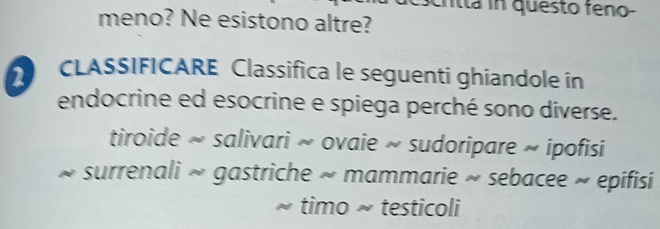 meno? Ne esistono altre?
2 CLASSIFICARE Classifica le seguenti ghiandole in
endocrine ed esocrine e spiega perché sono diverse.
tiroide ~ salivari ~ ovaie ~ sudoripare ~ ipofisi
surrenali ~ gastriche ~ mammarie ~ sebacee ~ epifisi
timo ~ testicoli