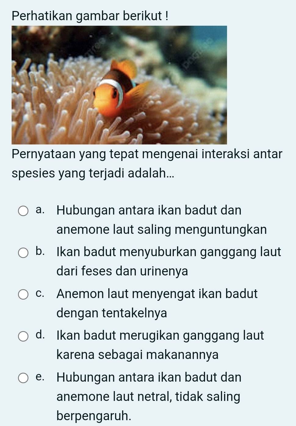 Perhatikan gambar berikut !
Pernyataan yang tepat mengenai interaksi antar
spesies yang terjadi adalah...
a. Hubungan antara ikan badut dan
anemone laut saling menguntungkan
b. Ikan badut menyuburkan ganggang laut
dari feses dan urinenya
c. Anemon laut menyengat ikan badut
dengan tentakelnya
d. Ikan badut merugikan ganggang laut
karena sebagai makanannya
e. Hubungan antara ikan badut dan
anemone laut netral, tidak saling
berpengaruh.