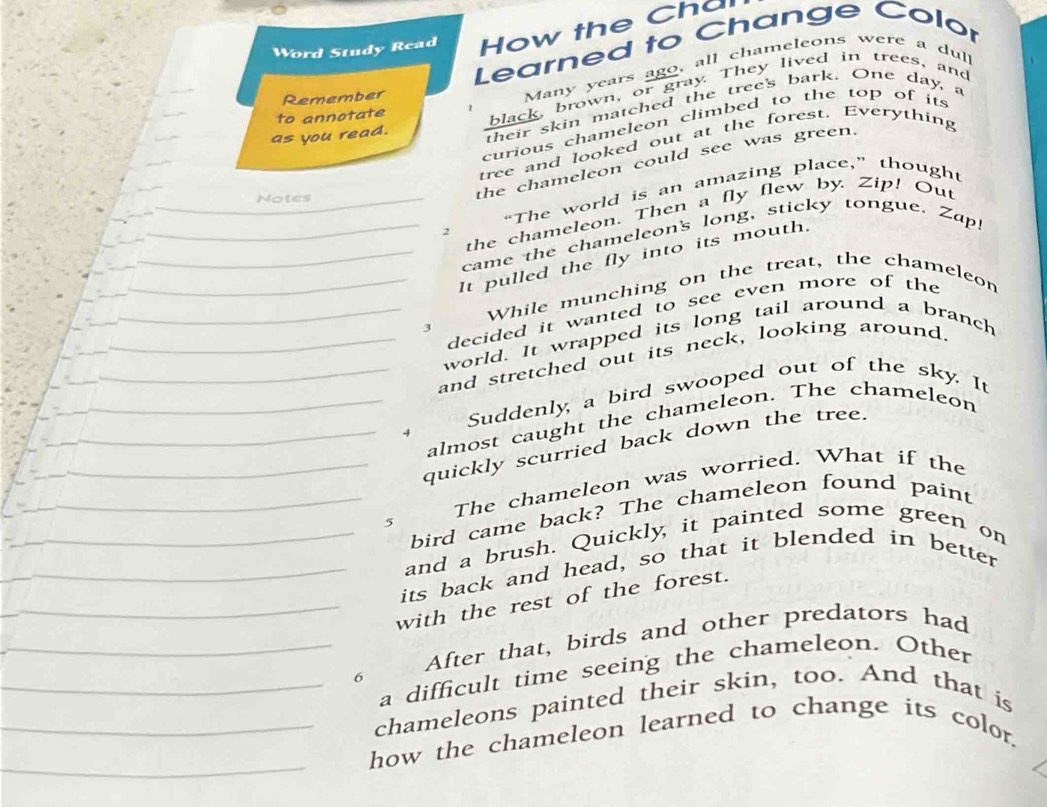 Word Study Read How the Chul 
Learned to Change Color 
Remember 
Many years ago , all chameleons were a d 
as you read. their skin matched the tree's bark. One day, a 
to annotate 
black, brown, or gray. They lived in trees, and 
curious chameleon climbed to the top of its 
tree and looked out at the forest. Everything 
“The world is an amazing place,” thought 
Notes 
the chameleon could see was green. 
the chameleon. Then a fly flew by. Zip! Out 
2 
came the chameleon's long, sticky tongue. Zap! 
It pulled the fly into its mouth. 
While munching on the treat, the chameleon 
decided it wanted to see even more of the 
3 
world. It wrapped its long tail around a branch 
and stretched out its neck, looking around. 
Suddenly, a bird swooped out of the sky. It 
almost caught the chameleon. The chameleon 
- 
quickly scurried back down the tree. 
The chameleon was worried. What if the 
bird came back? The chameleon found paint 
5 
and a brush. Quickly, it painted some green on 
its back and head, so that it blended in better 
with the rest of the forest. 
After that, birds and other predators had 
a difficult time seeing the chameleon. Other 
6 
chameleons painted their skin, too. And that is 
how the chameleon learned to change its color.