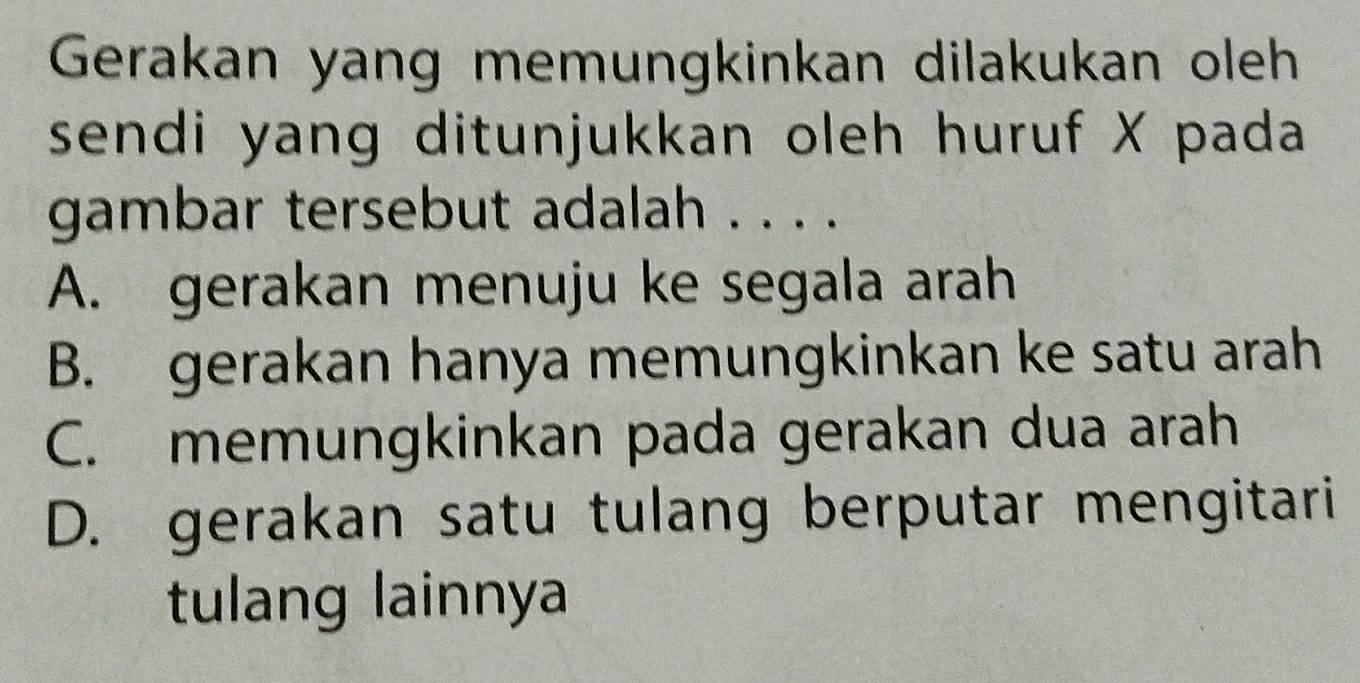 Gerakan yang memungkinkan dilakukan oleh
sendi yang ditunjukkan oleh huruf X pada
gambar tersebut adalah . . . .
A. gerakan menuju ke segala arah
B. gerakan hanya memungkinkan ke satu arah
C. memungkinkan pada gerakan dua arah
D. gerakan satu tulang berputar mengitari
tulang lainnya