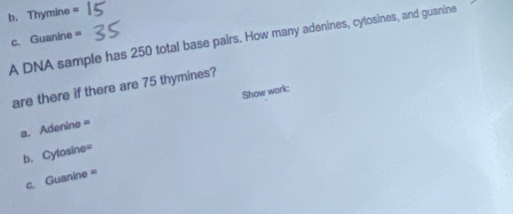 Thymine =
A DNA sample has 250 total base pairs. How many adenines, cytosines, and guanine c. Guanine =
are there if there are 75 thymines? 
Show work: 
a. Adenine =
b, Cylosine=
c. Guanine =