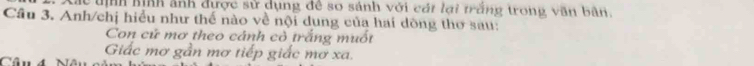 Xác tịnh hình ảnh được sử dụng đề sơ sánh với cát lại trắng trong văn bản. 
Câu 3. Anh/chị hiểu như thế nào về nội dung của hai dòng thơ sau: 
Con cử mơ theo cánh cò trắng muốt 
Giấc mơ gần mơ tiếp giắc mơ xa. 
Câu 4