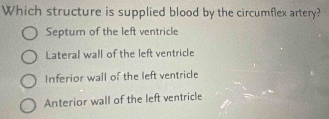 Which structure is supplied blood by the circumflex artery?
Septurn of the left ventricle
Lateral wall of the left ventricle
Inferior wall of the left ventricle
Anterior wall of the left ventricle