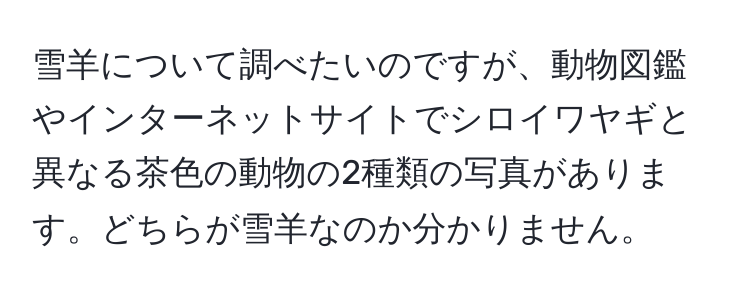 雪羊について調べたいのですが、動物図鑑やインターネットサイトでシロイワヤギと異なる茶色の動物の2種類の写真があります。どちらが雪羊なのか分かりません。