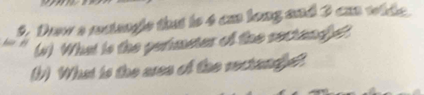 Drew a rectangle that is 4 cm long and 3 can wide. 
(s) What is the perimeter of the sectand) e? 
(b) What is the ares of the rectandle?.