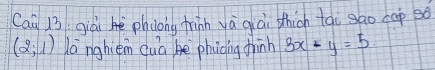 Cai 13 giàiè phuong trin yà già thich tài sao cap so
(2;1) langhién duà he phicing thinn 3x-y=5