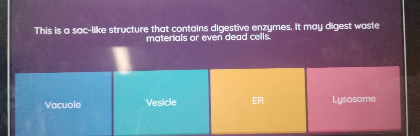 This is a sac-like structure that contains digestive enzymes. It may digest waste
materials or even dead cells.
Vacuole Vesicle ER Lysosome