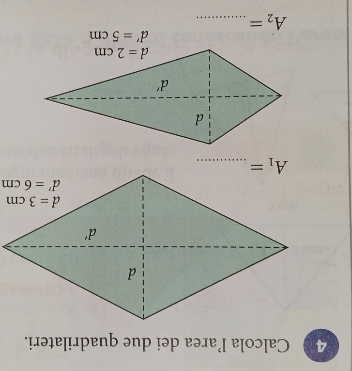 Calcola l’area dei due quadrilateri.
_ A_1=
_ A_2=