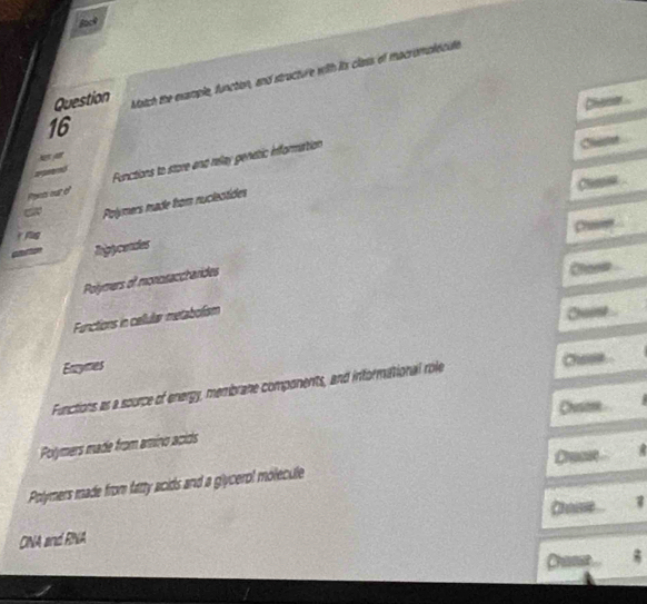 Sace
Question Match the example, function, and stracture with its class of macrompléciale
16
Poets our e Functions to store and relay genetic information
Claet
Polymers made from nuclectides
Cim
A
Ripycendes
Polymers of monosacchanides
Chicon
Fanctions in cellular metabolism
Chaint
Enzymes Cas
Functions as a source of energy, membrane components, and informational role
Chusome
Polymers made from amino acids
Polymers made from fatty acids and a glycerol molecule Craco
Choue
CNA and RINA
Chanse g