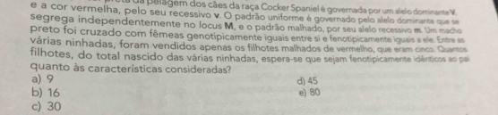 ua pelagem dos cães da raça Cocker Spaniel é governada por um alelo dominante V.
e a cor vermelha, pelo seu recessivo v. O padrão uniforme é governado pelo alelo dominante que se
segrega independentemente no locus M, e o padrão malhado, por seu alelo recessivo m. Um macho
preto foi cruzado com fêmeas genotipicamente iguais entre si e fenotipicamente iguais a ele. Entre as
várias ninhadas, foram vendidos apenas os filhotes malhados de vermelho, que eram cinco. Quantos
filhotes, do total nascido das várias ninhadas, espera-se que sejam fenotipicamente idênticos ao pai
quanto às características consideradas?
a) 9 d) 45
b) 16 e) 80
c) 30