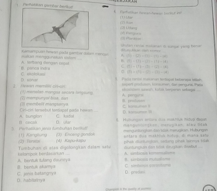 Perhatikan gambar b
4. Perhatikan hewan-hewan benikut ini?
(1) Lllar
(2) ikan
(3) Udang
(4) Penguns
(5) Plarkton
Urutan rantai makanan di sungal yang benar
ditunjukkan oleh nomor
Kemampuan hewan pada gambar dalam mencar A. (5)-(2)-(3)-(1)-(4)
makan menggunakan sisfem ....
A. terbang dengan cepat
B. (5)-(3)-(2)-(1)-(4)
B. panca indra
C (5)-(1)-(3)-(2)-(4)
C. ekolokasi
D (5)-(1)-(2)-(3)-(4)
D. sonat 5. Pada rantal makanan terdapat beberapa istilah.
seperti produsen, konsumen, dan penguraí, Pada
2. Hewan memiliki ciri-ciri: ekosistem sawah, katak berperan sobagai ....
(1) menelan mangsa secara langsung. A. pengural
(2) mempunyai bisa, dan B. produsen
(3) membelit mangsanya C. konsumen II
Ciri-ciri tersebut terdapat pada hewan D. konsumen III
A. bunglon C. kadal
B cecak D. ular 6. Hubungan antara dua makhluk hidup đapat
3. Perhatikan jenis tumbuhan berikut! mengunlungkan, merugikan, atau tidak
(1) Kangkung (3) Enceng gondok menguntungkan dan lidak merugikan. Hubungan
antara dua makhluk hidup, di mana satu
(2) Teratal (4) Kapu-kapu pihak diuntungkan, sedang pihak lainnya tidak
Tumbuhan di atas digolongkan dalam satu diuntungkan dan tidak dirugikan disebut .....
kelompok berdasarkan .... A. simblosis komensalisme
A. bentuk tulang daunnya B. simbiosis mutualisme
B. bentuk akamya C. simbiosis parasitisme
C. jenis batangnya D. predasi
D. habitatnya
Champion is the quaslity af jouricy