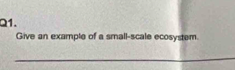 Give an example of a small-scale ecosystem. 
_