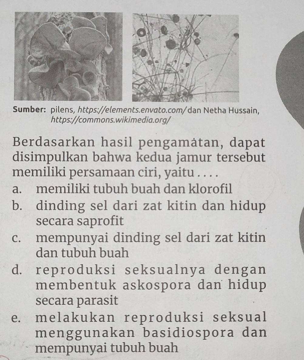 Sumber: pilens, https://elements.envato.com/dan Netha Hussain,
https://commons.wikimedia.org/
Berdasarkan hasil pengamátan, dapat
disimpulkan bahwa kedua jamur tersebut
memiliki persamaan ciri, yaitu . . . .
a. memiliki tubuh buah dan klorofil
b. dinding sel dari zat kitin dan hidup
secara saprofit
c. mempunyai dinding sel dari zat kitin
dan tubuh buah
d. reproduksi seksualnya dengan
membentuk askospora dan hidup
secara parasit
e. melakukan reproduksi seksual
menggunakan basidiospora dan
mempunyai tubuh buah