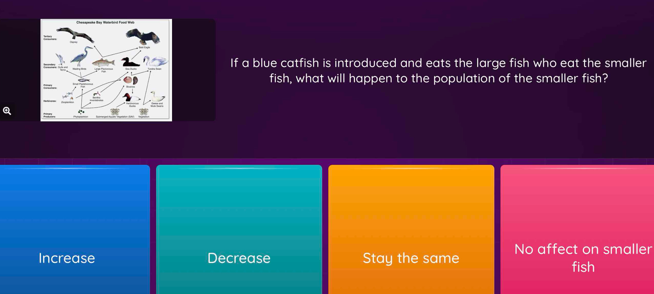 If a blue catfish is introduced and eats the large fish who eat the smaller
fish, what will happen to the population of the smaller fish?
No affect on smaller
Increase Decrease Stay the same
fish