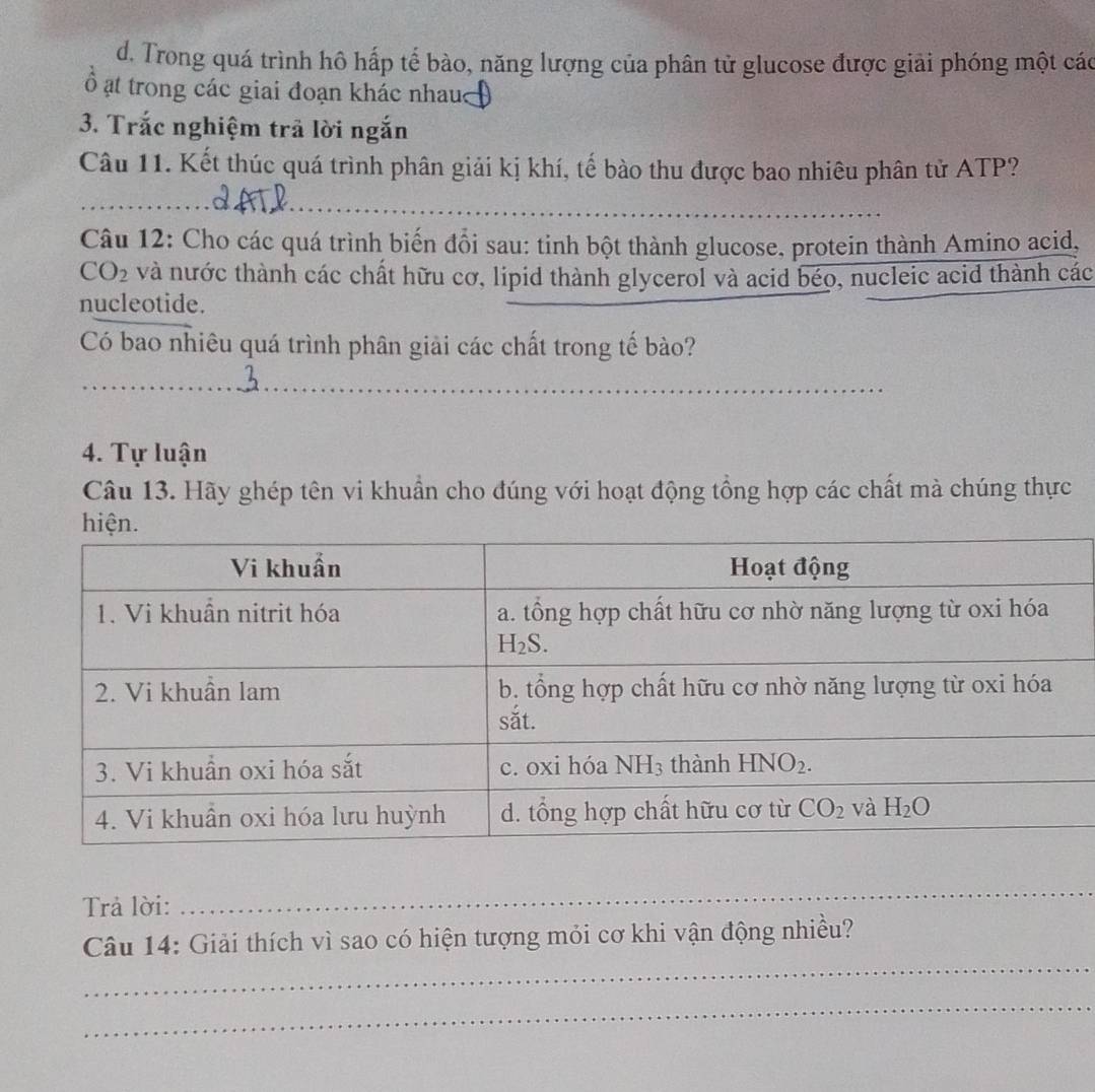 d. Trong quá trình hô hấp tế bào, năng lượng của phân tử glucose được giải phóng một các
ố ạt trong các giai đoạn khác nhau
3. Trắc nghiệm trã lời ngắn
Câu 11. Kết thúc quá trình phân giải kị khí, tế bào thu được bao nhiêu phân tử ATP?
_
Câu 12: Cho các quá trình biến đổi sau: tinh bột thành glucose, protein thành Amino acid,
CO_2 và nước thành các chất hữu cơ, lipid thành glycerol và acid béo, nucleic acid thành các
nucleotide.
Có bao nhiêu quá trình phân giải các chất trong tế bào?
3
4. Tự luận
Câu 13. Hãy ghép tên vi khuẩn cho đúng với hoạt động tổng hợp các chất mà chúng thực
Trả lời:
_
_
Câu 14: Giải thích vì sao có hiện tượng mỏi cơ khi vận động nhiều?
_