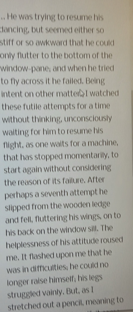 .. He was trying to resume his 
dancing, but seemed either so 
stiff or so awkward that he could . 
only flutter to the bottom of the 
window-pane; and when he tried 
to fly across it he failed. Being 
intent on other matter. I watched 
these futile attempts for a time 
without thinking, unconsciously 
waiting for him to resume his 
flight, as one waits for a machine, 
that has stopped momentarily, to 
start again without considering 
the reason of its failure. After 
perhaps a seventh attempt he 
slipped from the wooden ledge 
and fell, fluttering his wings, on to 
his back on the window sill. The 
helplessness of his attitude roused 
me. It flashed upon me that he 
was in difficulties; he could no 
longer raise himself; his legs 
struggled vainly. But, as I 
stretched out a pencil, meaning to