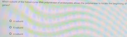 Which subunit of the holoenzyme RNA polymerase of prokaryotes allows the polymerase to locate the beginning of
genes?
a subunit
δ subunit
a subunit