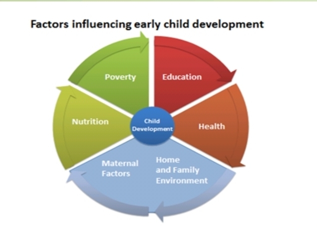 Factors influencing early child development