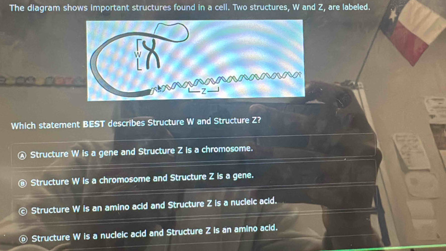 Solved: The diagram shows important structures found in a cell. Two ...