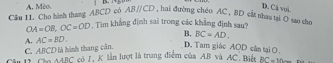 A. Mèo. ! B. N g ự u
D. Cá voi.
Câu 11. Cho hình thang ABCD có ABparallel CD , hai đường chéo AC , BD cắt nhau tại O sao cho
OA=OB, OC=OD. Tìm khẳng định sai trong các khẳng định sau?
B. BC=AD.
A. AC=BD.
C. ABCD là hình thang cân.
D. Tam giác AOD cân tại O.
Câu 12, Cho AABC có I, K lần lượt là trung điểm của AB và AC, Biến BC=10