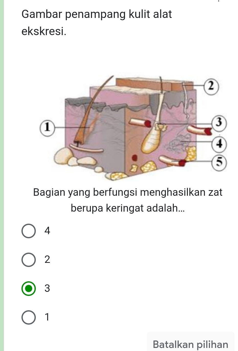 Gambar penampang kulit alat
ekskresi.
Bagian yang berfungsi menghasilkan zat
berupa keringat adalah...
4
2
3
1
Batalkan pilihan