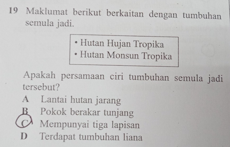 Maklumat berikut berkaitan dengan tumbuhan
semula jadi.
Hutan Hujan Tropika
Hutan Monsun Tropika
Apakah persamaan ciri tumbuhan semula jadi
tersebut?
A Lantai hutan jarang
B Pokok berakar tunjang
Mempunyai tiga lapisan
D Terdapat tumbuhan liana