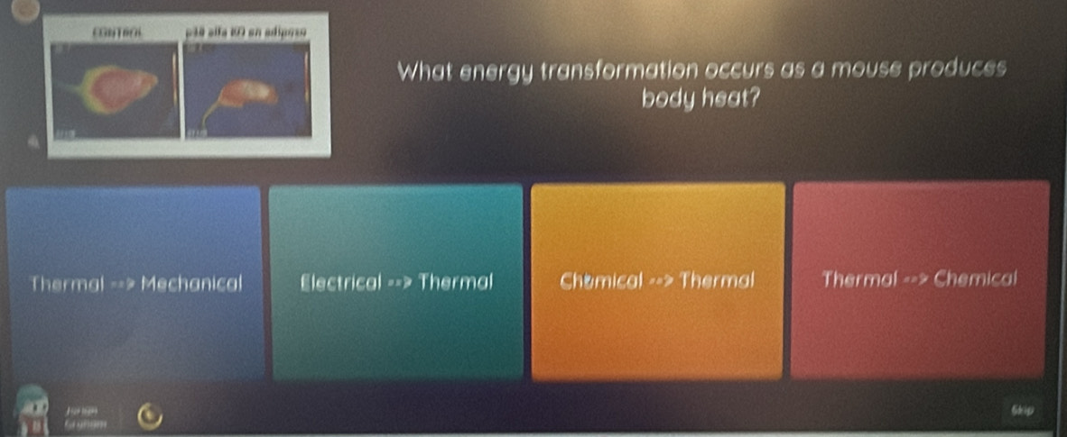 piä alfa «0 en adiposo
What energy transformation occurs as a mouse produces
body heat?
Thermal --> Mechanical Electrical --> Thermal Chomical --> Thermal Thermal --> Chemical
Skip
G gnom