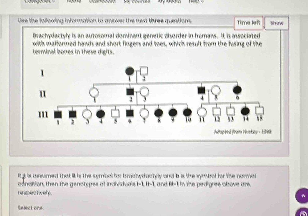 Catégores My courses My Media Help 
Use the following information to answer the next three questions. Time left show 
Brachydactyly is an autosomal dominant genetic disorder in humans. It is associated 
with malformed hands and short fingers and toes, which result from the fusing of the 
terminal bones in these digits. 
lf it is assumed that B is the symbol for brachydactyly and b is the symbol for the normal 
condition, then the genotypes of individuals |=1, ||=1 , and li=1 in the pedigree above are, 
respectively. 
Select one: