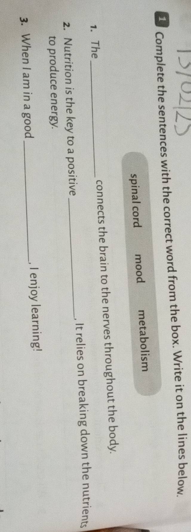 a Complete the sentences with the correct word from the box. Write it on the lines below. 
spinal cord mood metabolism 
1. The _connects the brain to the nerves throughout the body. 
2. Nutrition is the key to a positive _, It relies on breaking down the nutrients 
to produce energy. 
3. When I am in a good _, I enjoy learning!