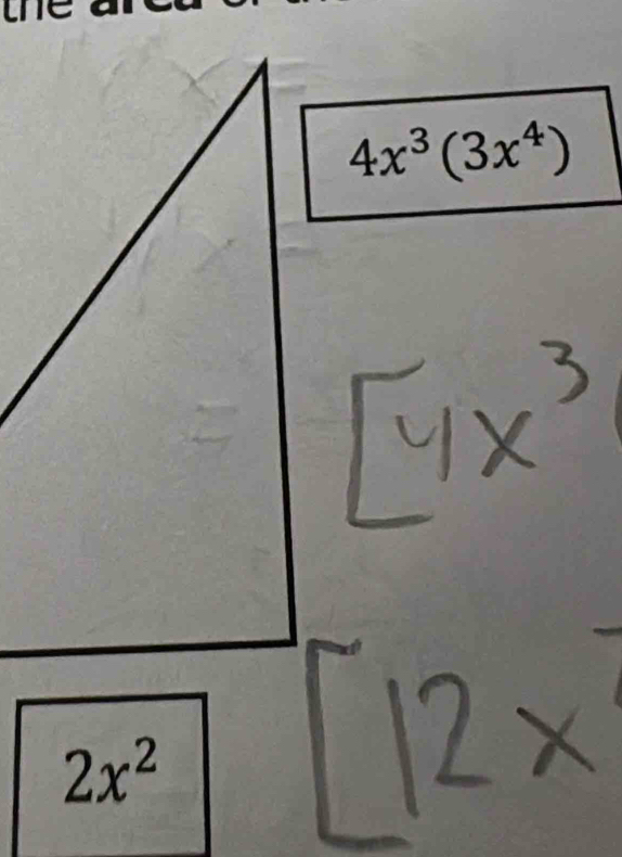 4x^3(3x^4)
2x^2