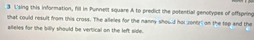 worth 1 po 
3 Lsing this information, fill in Punnett square A to predict the potential genotypes of offspring 
that could result from this cross. The alleles for the nanny should hor zontr' on the top and the 
alleles for the billy should be vertical on the left side.