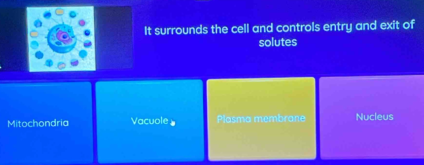 It surrounds the cell and controls entry and exit of
solutes
Mitochondria Vacuole 。 Plasma membrane Nucleus