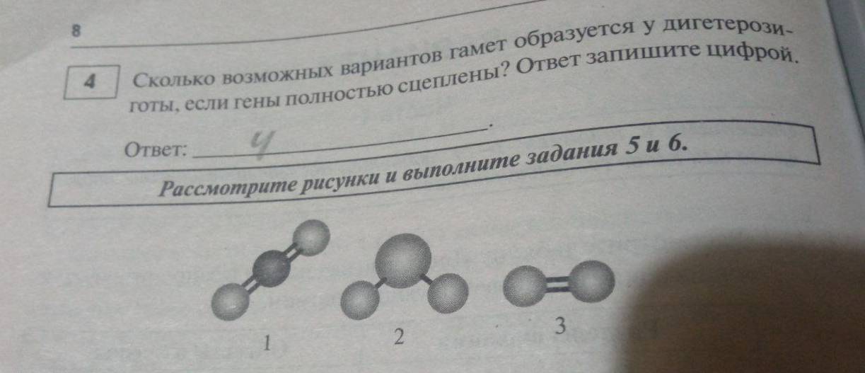 8 
4 Сколько возможных вариантов гамет образуется у дигетерози- 
готы, если гены πолностыюо сцепіены? Ответ заπииите цифрой. 
_. 
Otbet: 
Ρассмотрите рисунки и выΝолните задания 5 и 6.
3
1 
2