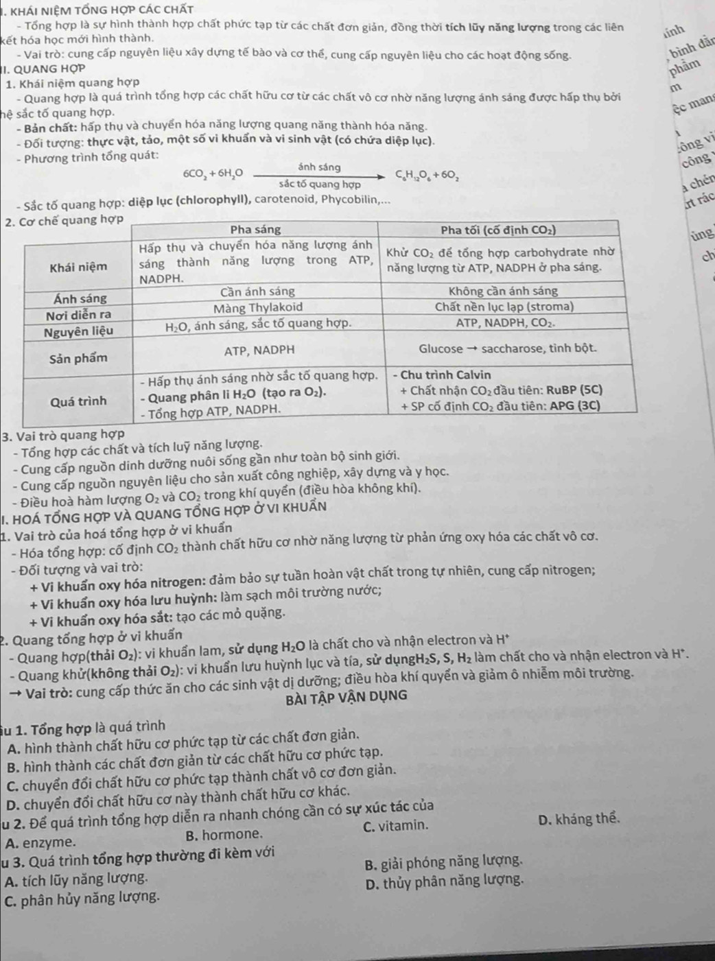 khÁI NIÊM tỐNG HợP các chất
- Tổng hợp là sự hình thành hợp chất phức tạp từ các chất đơn giản, đồng thời tích lũy năng lượng trong các liên lính
kết hóa học mới hình thành.
- Vai trò: cung cấp nguyên liệu xây dựng tế bào và cơ thể, cung cấp nguyên liệu cho các hoạt động sống.
bình đãn
II. QUANG HợP phầm
1. Khái niệm quang hợp
m
- Quang hợp là quá trình tổng hợp các chất hữu cơ từ các chất vô cơ nhờ năng lượng ánh sáng được hấp thụ bởi
sệ sắc tố quang hợp.
ệc man
- Bản chất: hấp thụ và chuyển hóa năng lượng quang năng thành hóa năng.
1
- Đối tượng: thực vật, tảo, một số vi khuấn và vi sinh vật (có chứa diệp lục).
:ông vi
- Phương trình tổng quát:
công
6CO₃ + 6H₂O ánh sáng C_6H_12O_6+6O_2
sắc tố quang hợp a chén
- Sắc tố quang hợp: diệp lục (chlorophyll), carotenoid, Phycobilin,...
rt rác
2
g
ch
3. Vai trò quang hợp
- Tổng hợp các chất và tích luỹ năng lượng.
- Cung cấp nguồn dinh dưỡng nuôi sống gần như toàn bộ sinh giới.
- Cung cấp nguồn nguyên liệu cho sản xuất công nghiệp, xây dựng và y học.
- Điều hoà hàm lượng O_2 và CO_2 trong khí quyển (điều hòa không khí).
I. HOÁ TỐNG hợp vÀ quanG tổnG hợp ở vI khuẩn
1. Vai trò của hoá tổng hợp ở vi khuẩn
- Hóa tổng hợp: cố định CO_2 thành chất hữu cơ nhờ năng lượng từ phản ứng oxy hóa các chất vô cơ.
- Đối tượng và vai trò:
+ Vi khuẩn oxy hóa nitrogen: đảm bảo sự tuần hoàn vật chất trong tự nhiên, cung cấp nitrogen;
+ Vi khuẩn oxy hóa lưu huỳnh: làm sạch môi trường nước;
+ Vi khuẩn oxy hóa sắt: tạo các mỏ quặng.
2. Quang tổng hợp ở vi khuẩn
- Quang hợp(thải O_2) ): vi khuẩn lam, sử dụng H_2O là chất cho và nhận electron và H^+
- Quang khử(không thải O_2) ): vi khuẩn lưu huỳnh lục và tía, sử dụng H_2S,S,H_2 làm chất cho và nhận electron và H^+.
→ Vai trò: cung cấp thức ăn cho các sinh vật dị dưỡng; điều hòa khí quyển và giảm ô nhiễm môi trường.
bÀi tập vậN Dụng
Su 1. Tổng hợp là quá trình
A. hình thành chất hữu cơ phức tạp từ các chất đơn giản.
B. hình thành các chất đơn giản từ các chất hữu cơ phức tạp.
C. chuyển đổi chất hữu cơ phức tạp thành chất vô cơ đơn giản.
D. chuyển đổi chất hữu cơ này thành chất hữu cơ khác.
Su 2. Để quá trình tổng hợp diễn ra nhanh chóng cần có sự xúc tác của
A. enzyme. B. hormone. C. vitamin. D. kháng thể.
Su 3. Quá trình tổng hợp thường đi kèm với
A. tích lũy năng lượng. B. giải phóng năng lượng.
C. phân hủy năng lượng. D. thủy phân năng lượng.