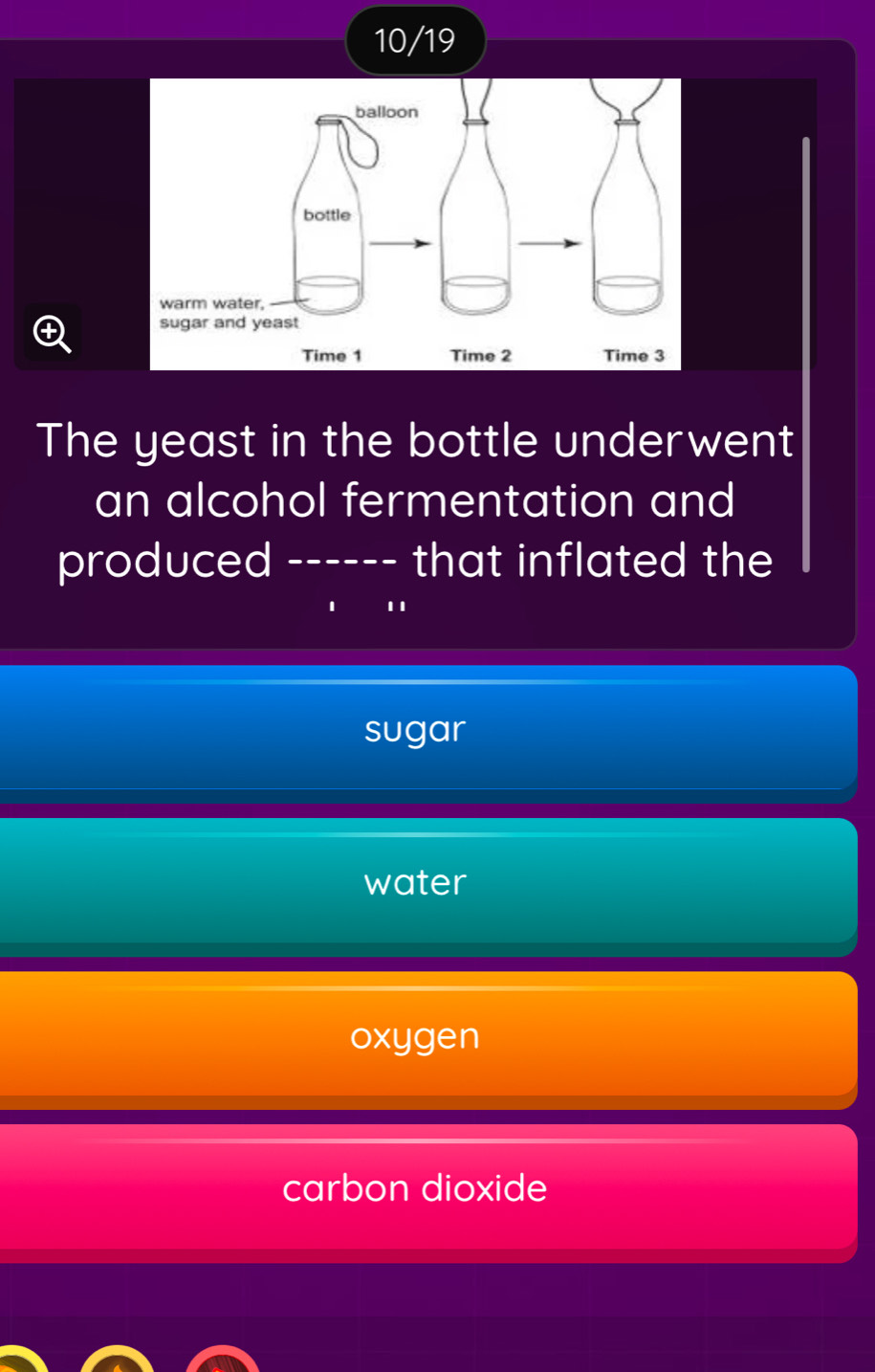 10/19
The yeast in the bottle underwent
an alcohol fermentation and
produced _---- that inflated the
11
sugar
water
oxygen
carbon dioxide