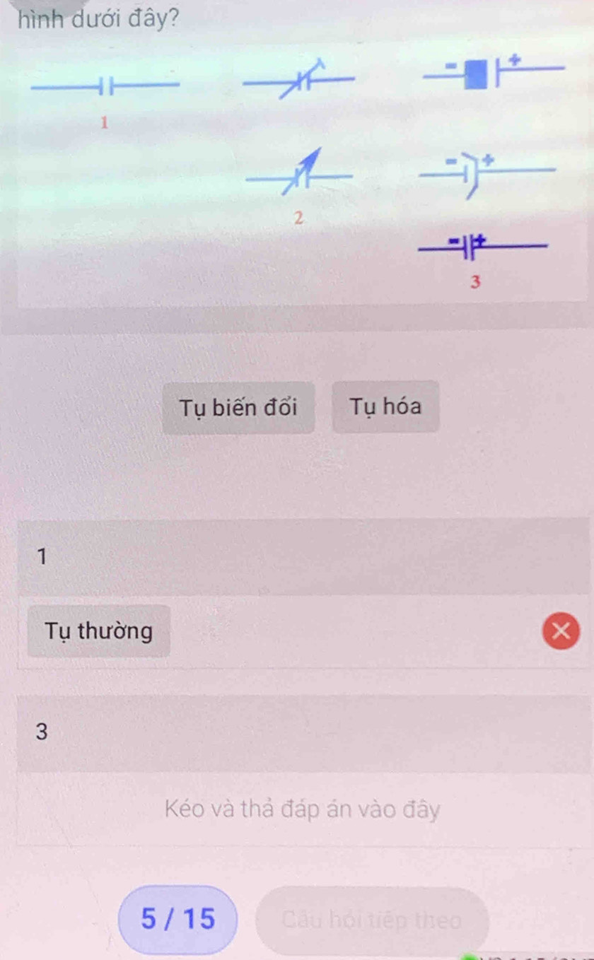 hình dưới đây? 
to _  
_ -□ |_ + 
1 
_ -1)^+ 
2
beginarray r -|-| (+)/3  endarray 
Tụ biến đổi Tụ hóa 
1 
Tụ thường 
3 
Kéo và thả đáp án vào đây 
5 / 15 Câu hội tiếp theo