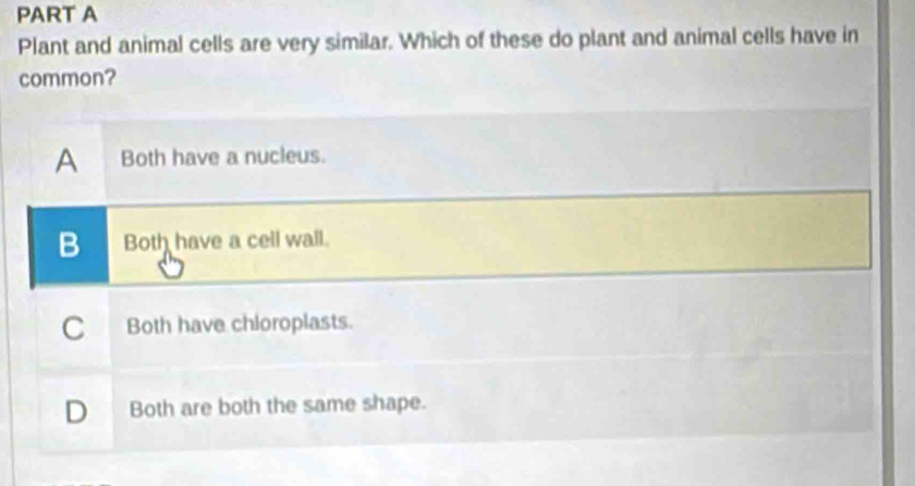 Plant and animal cells are very similar. Which of these do plant and animal cells have in
common?
A Both have a nucleus.
B Both have a cell wall.
C Both have chloroplasts.
D Both are both the same shape.