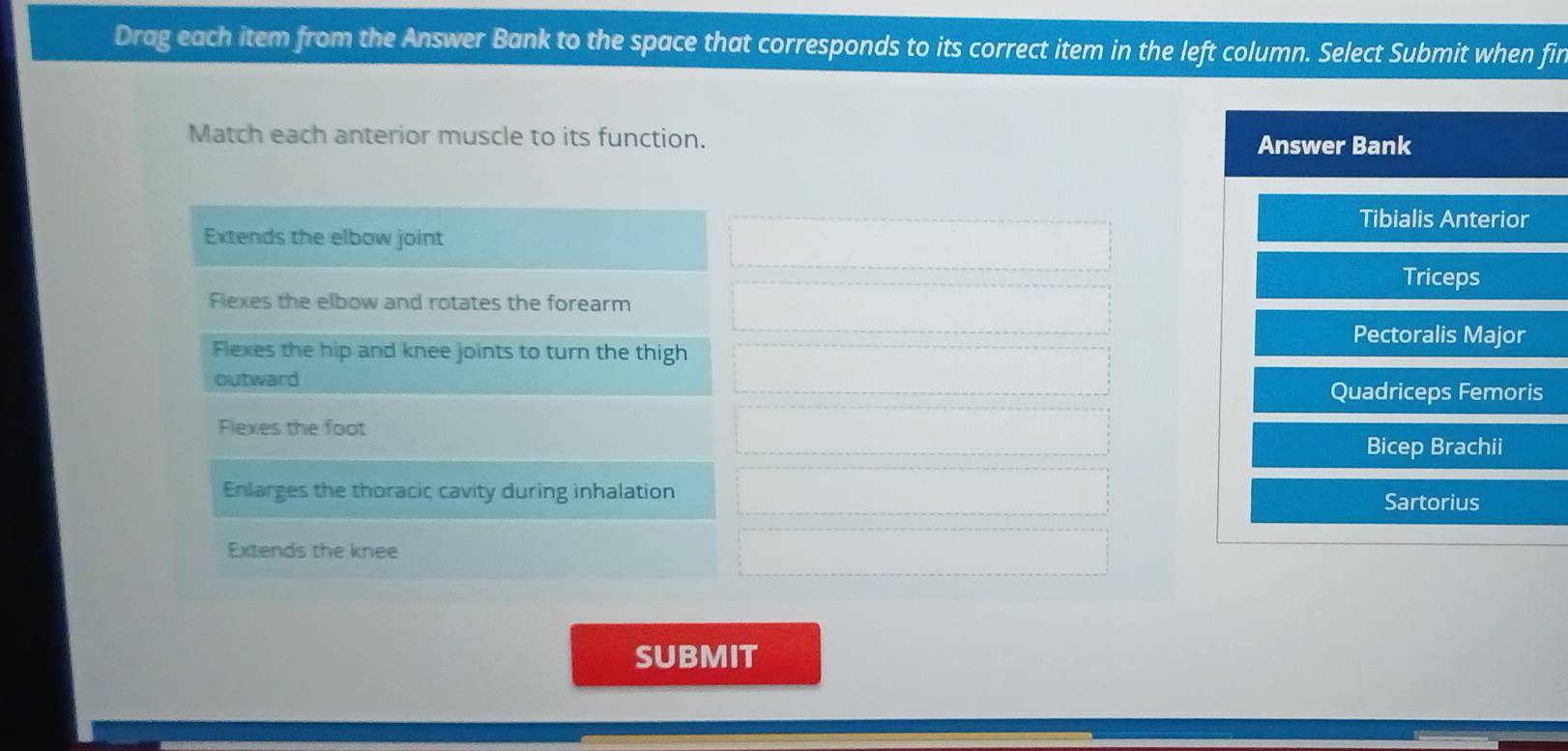 Drag each item from the Answer Bank to the space that corresponds to its correct item in the left column. Select Submit when fin
Match each anterior muscle to its function.
Answer Bank
Tibialis Anterior
Extends the elbow joint
Triceps
Flexes the elbow and rotates the forearm
Pectoralis Major
Flexes the hip and knee joints to turn the thigh
outward
Quadriceps Femoris
Flexes the foot
Bicep Brachii
Enlarges the thoracic cavity during inhalation
Sartorius
Extends the knee
SUBMIT