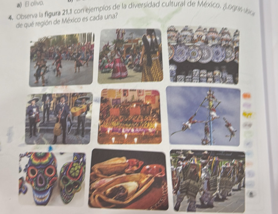 El olivo， 
4. Observa la figura 21.1 con ejemplos de la diversidad cultural de México, jogras vo 
de qué región de México es cada una?