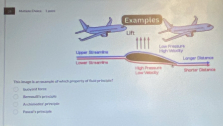 Multiple Chpice 1 paird
This image is an example of which property of fluid principle!
buoyant force
Bernoulli's principle
Archimedes' principle
Pascal's principle