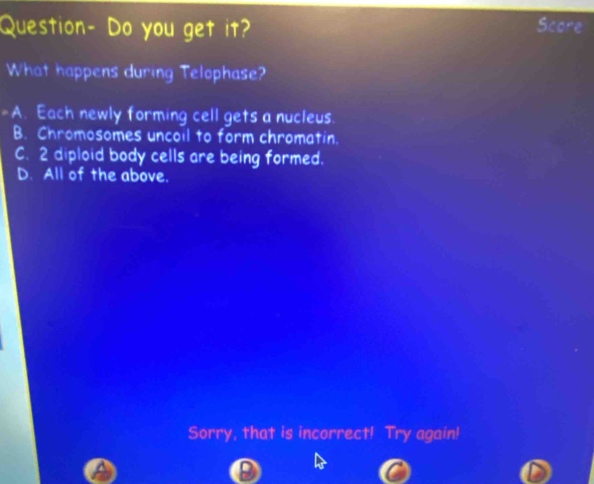 Question- Do you get it?
What happens during Telophase?
A. Each newly forming cell gets a nucleus.
B. Chromosomes uncoil to form chromatin.
C. 2 diploid body cells are being formed.
D. All of the above.
Sorry, that is incorrect! Try again!