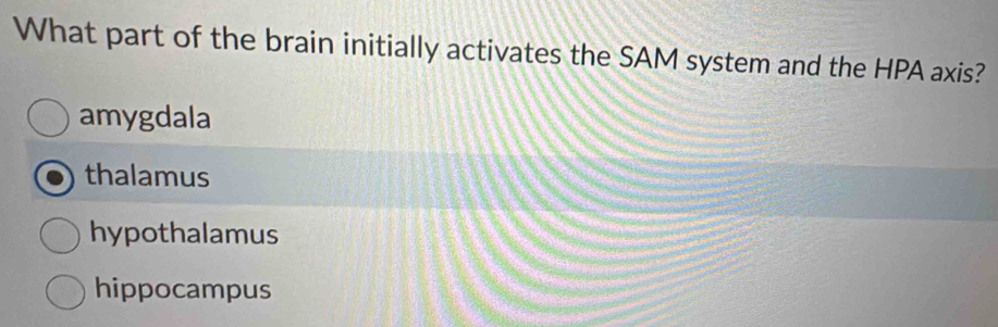 What part of the brain initially activates the SAM system and the HPA axis?
amygdala
thalamus
hypothalamus
hippocampus