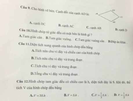 Câu 9, Cho hình vẽ bên. Cạnh đổi của cạnh AD là:
A. cạnh BC B. cạnh AC C. cạnh AB D. cạnh D
Câu 10.Hình chóp tứ giác đều có mặt bèn là hình gì ?
A.Tam giác cân . B.Tam giác vuông. C.Tam giác vuông cân . D,Đáp ăn khác .
Câu 11.Diện tích xung quanh của hình chóp đều bằng
A.Tích nửa chu vi đây và chiều cao của hình chóp.
B.Tích nửa chu vi đây và trung đoạn.
C.Tích chu vi đây và trung đoạn .
D.Tổng chu vi đây và trung đoạn .
Câu 12.Hình chóp tam giác đều có chiều cao là h, điện tích đây là S. Khi đó, thể
tích V của hình chóp đều bằng
A. V=3Sh, B. V=Sh. C. V= 1/3 Sh· D. V= 1/2 Sk