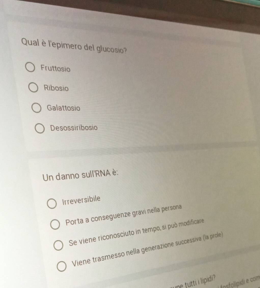 Qual è l'epimero del glucosio?
Fruttosio
Ribosio
Galattosio
Desossiribosio
Un danno sull'RNA è:
Irreversibile
Porta a conseguenze gravi nella persona
Se viene riconosciuto in tempo, si può modificare
Viene trasmesso nella generazione successiva (la prole)
une tutti i lipidi?
i fosfolipidi e com